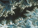 Satélite europeo Sentinel-1 proporciona sus primeras imágenes